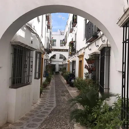A. Andalusí. * Córdoba