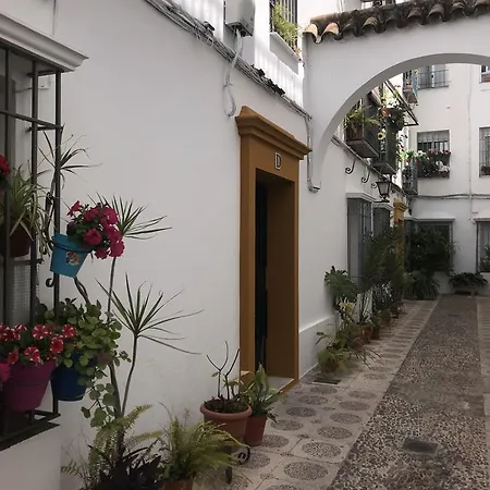 A. Andalusí. Córdoba